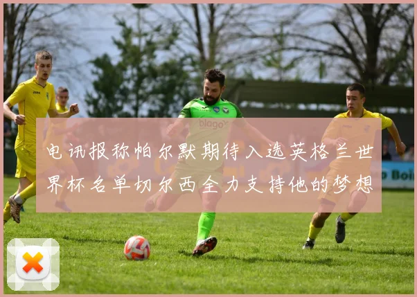 电讯报称帕尔默期待入选英格兰世界杯名单切尔西全力支持他的梦想