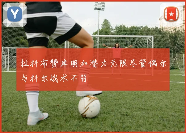 拉科布赞库明加潜力无限尽管偶尔与科尔战术不符