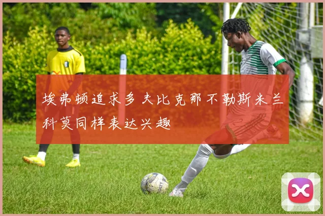 埃弗顿追求多夫比克那不勒斯米兰科莫同样表达兴趣