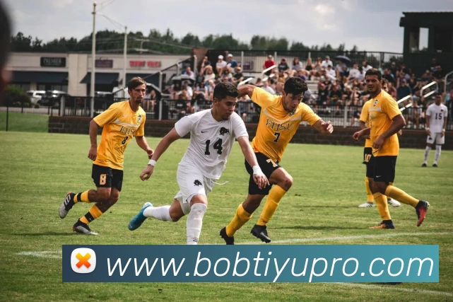 BOB体育发展历程